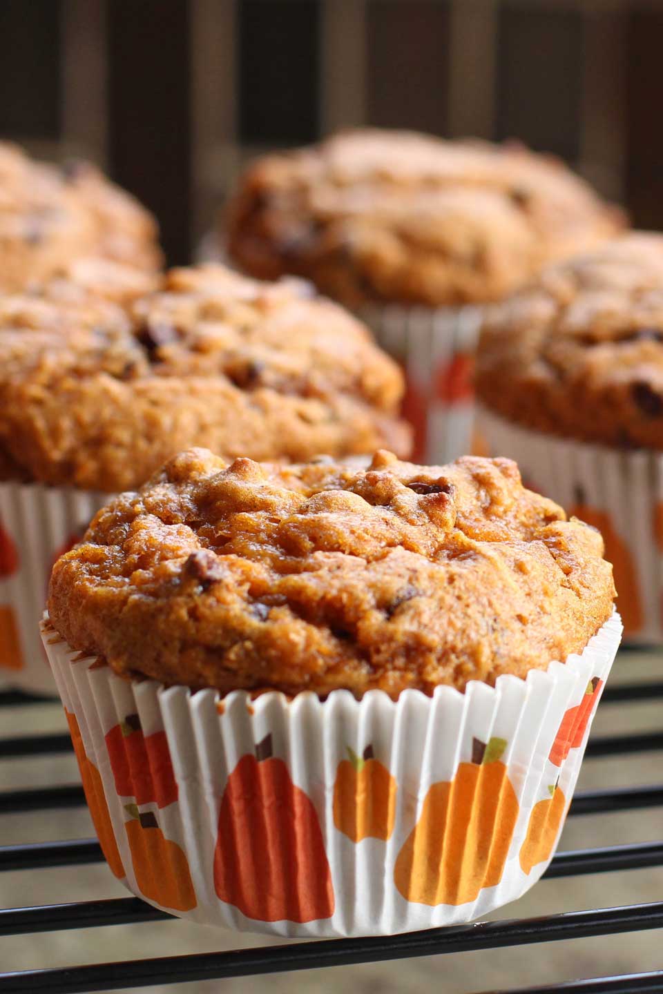 From paleo to gluten free, sugar free to whole grain! No matter what “healthy” means to you, we’ve got pumpkin muffins you’ll love! Unique flavor combos and lots of decadence … but so nutritious, too! These healthy pumpkin muffin recipes are easy to make – whip one up for quick breakfasts or healthy snacks! | pumpkin recipes | pumpkin muffins healthy | gluten free | grain free | paleo | whole wheat | refined sugar free | dairy free | #healthyrecipes #pumpkin #muffins | www.TwoHealthyKitchens.com