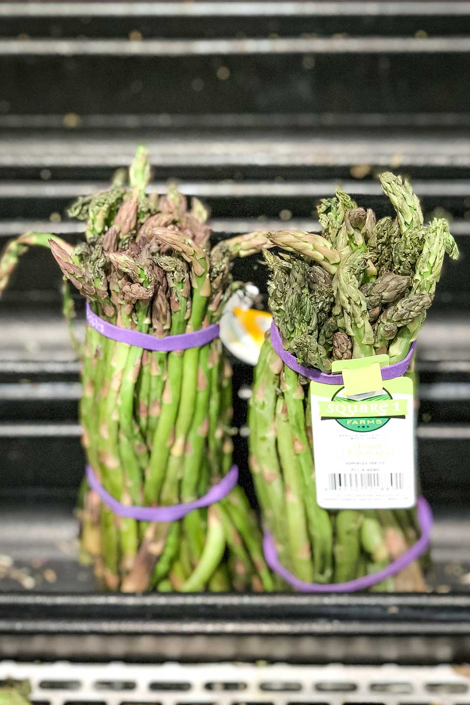 Two bunches of asparagus held together with purple rubber bands and sitting in the little water troughs in a grocery store display.