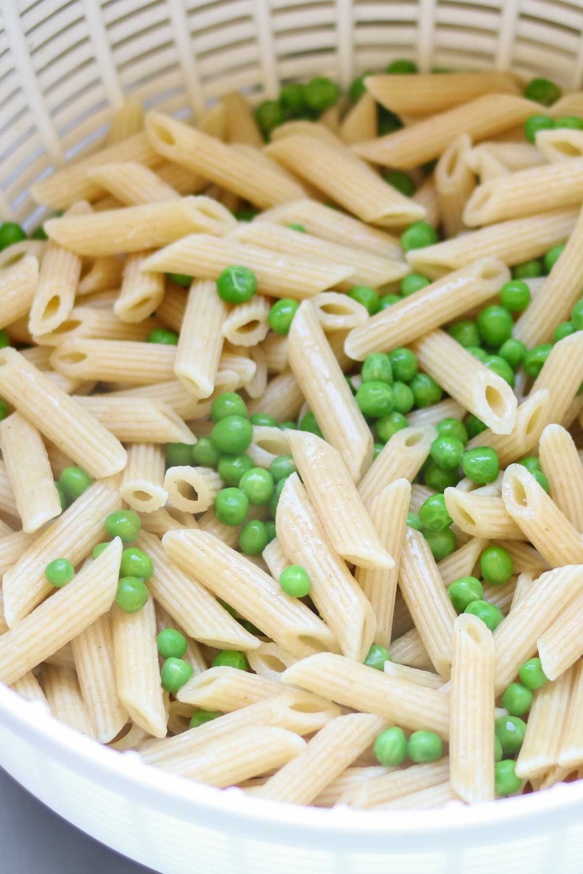 Closeup of cooked penne pasta and peas draining in a colander before being made into a final recipe.