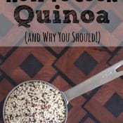 THK Cook Quinoa Text